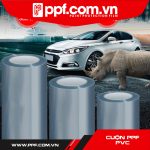 Cuộn PPF PVC đa năng - 15cm x 3m
